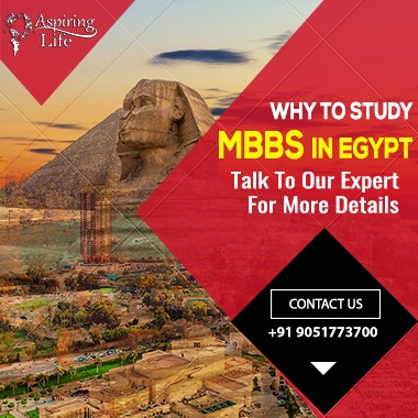 Why To Study MBBS in Egypt?