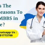 What is The Main Reasons To Study MBBS in Ukraine?​